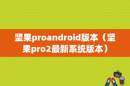 坚果proandroid版本（坚果pro2最新系统版本）