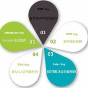 androidsoter的简单介绍
