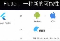 android统计类应用开发（android应用开发范例大全）