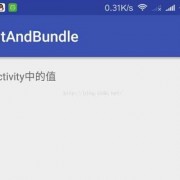 androidconvert函数（android intent传值）