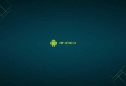 androidpixel壁纸（安卓壁纸apk）