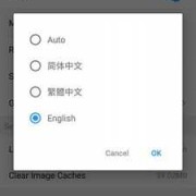 android5.1默认语言（android app语言）